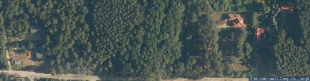 Zdjęcie satelitarne Źródła Ciosenki w okolicy Rosanowa