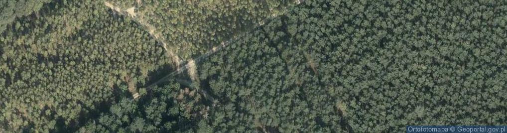 Zdjęcie satelitarne Źródła Stążki