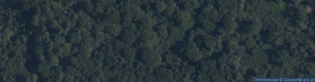 Zdjęcie satelitarne Źródła w rezerwacie Bukowa Góra