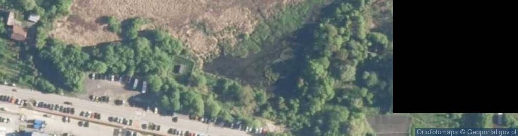 Zdjęcie satelitarne Źródliska rz. Pilicy w Piaskach