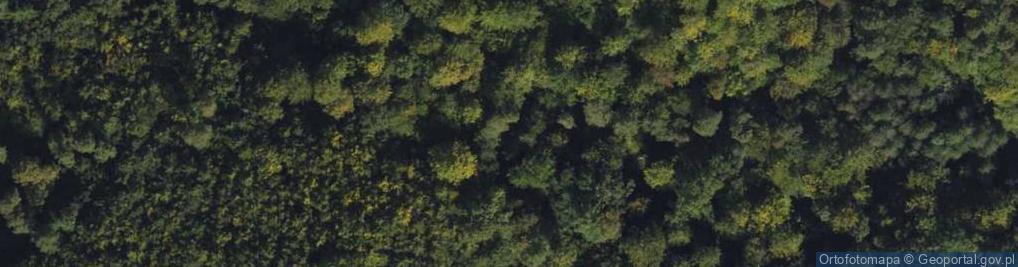 Zdjęcie satelitarne Źródliska w Lasach Oliwskich