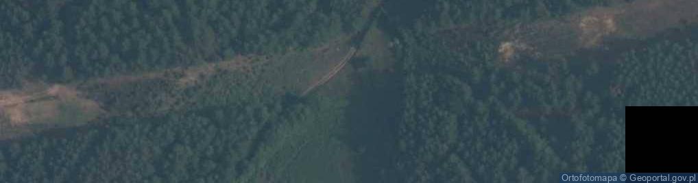 Zdjęcie satelitarne Źródliska w rynnie rz. Dłużnica