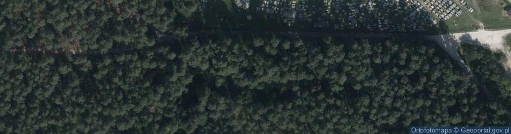 Zdjęcie satelitarne Źródlisko rz. Sopot Trupie Wody w Majdanie Sopockim