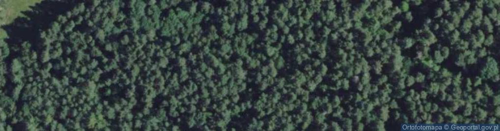 Zdjęcie satelitarne Żródlisko rzeki Łyny