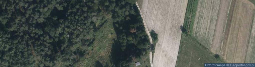 Zdjęcie satelitarne Źródlisko Sopotu w Majdanie Sopockim
