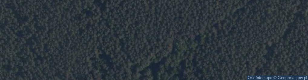 Zdjęcie satelitarne Źródło Objawienia / Dolina Objawienia