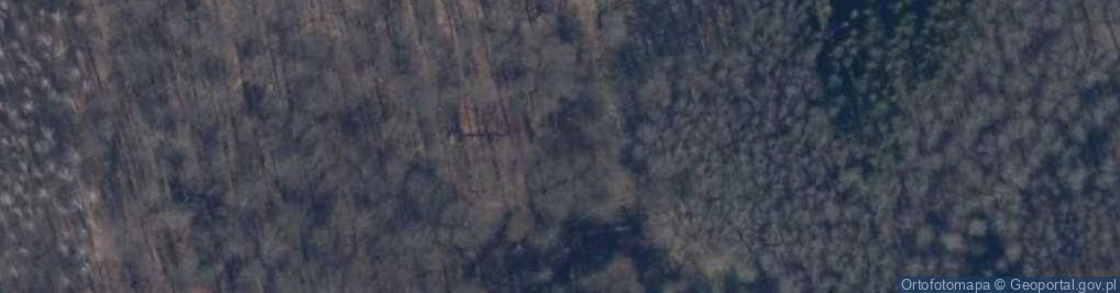 Zdjęcie satelitarne Źródło w jarze rz. Bliska Struga