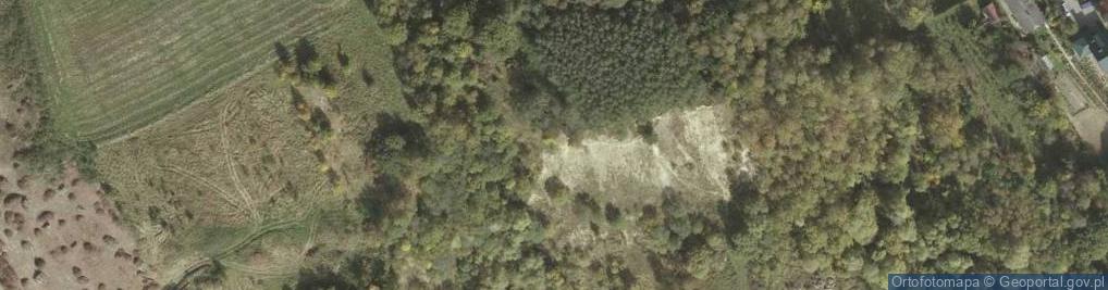 Zdjęcie satelitarne Żwirownia - osady plejstoceńskie