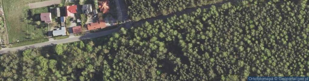Zdjęcie satelitarne Cmentarz epidemiczny i wojenny w Agatówce