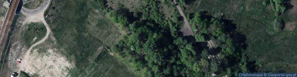 Zdjęcie satelitarne Cmentarz twierdzy iwangorodzkiej