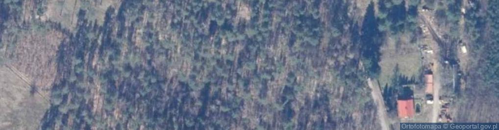 Zdjęcie satelitarne Cmentarz wojenny - Krasna Dąbrowa