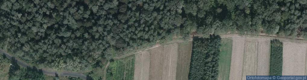 Zdjęcie satelitarne Cmentarz wojenny - Nowa Wieś