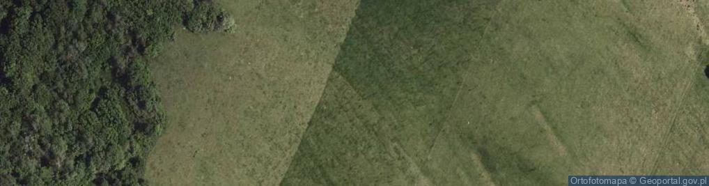 Zdjęcie satelitarne Cmentarz wojenny nr 1