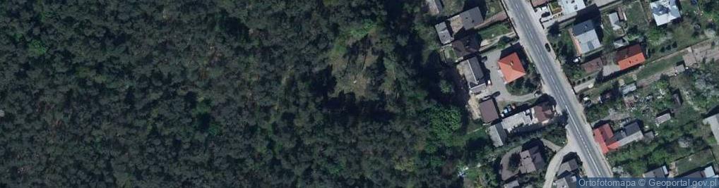 Zdjęcie satelitarne Cmentarz wojenny w Górze Puławskiej
