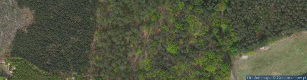 Zdjęcie satelitarne Cmentarz wojenny w Katarzynowie