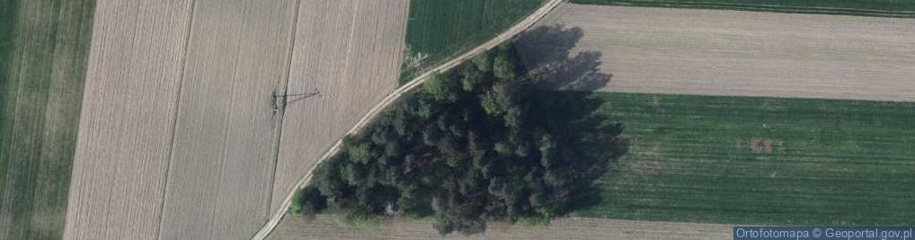 Zdjęcie satelitarne Cmentarz wojenny w Krzewicy