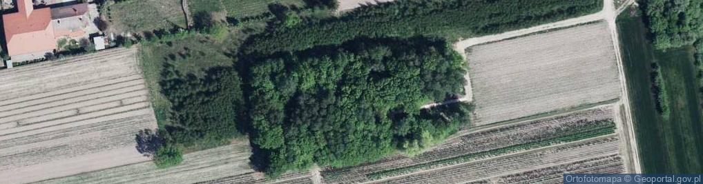 Zdjęcie satelitarne Cmentarz wojenny w Sosnowie