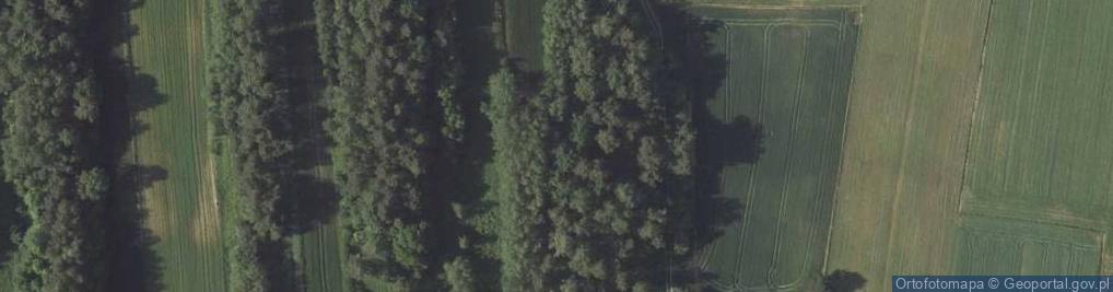 Zdjęcie satelitarne Cmentarz wojenny w Sułowcu