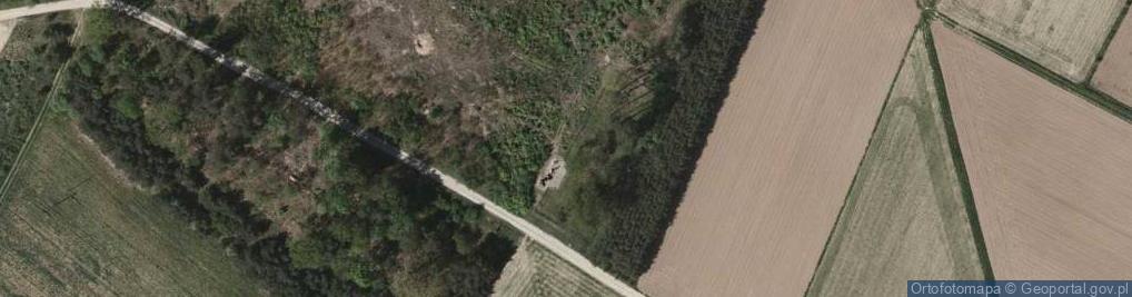 Zdjęcie satelitarne Cmentarz wojenny w Zaleszanach