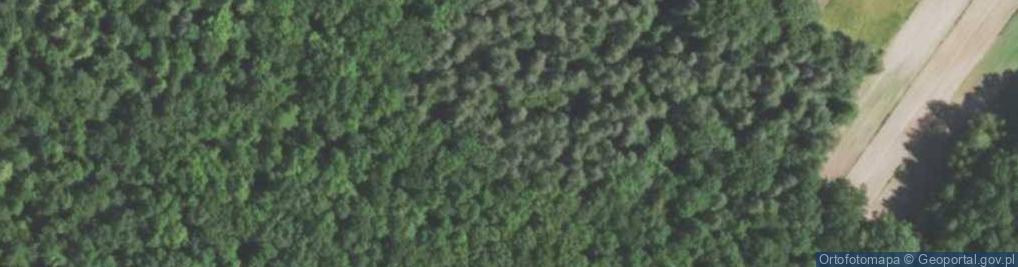 Zdjęcie satelitarne Cmentarz z I wojny światowej