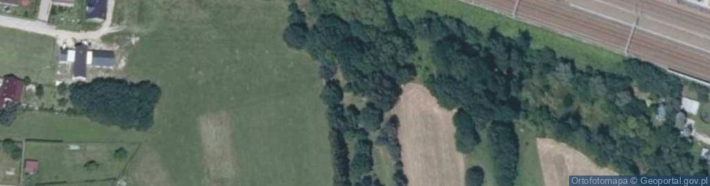 Zdjęcie satelitarne Cmentarz z I wojny światowej