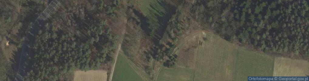 Zdjęcie satelitarne Cmentarz z I wojny światowej