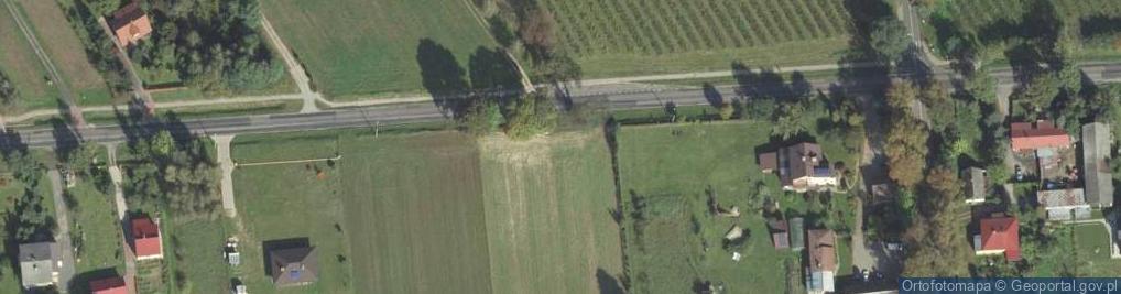 Zdjęcie satelitarne Nasutów - zaorany cmentarz