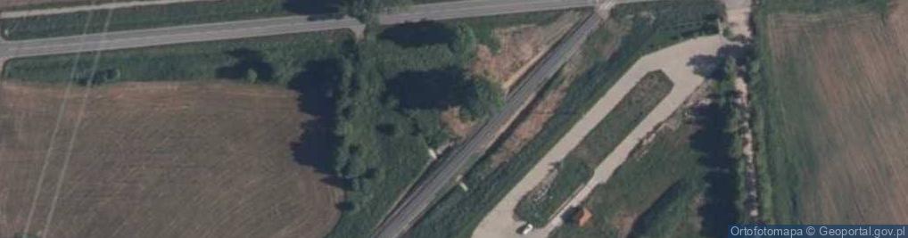 Zdjęcie satelitarne Niemiecka mogiła wojenna