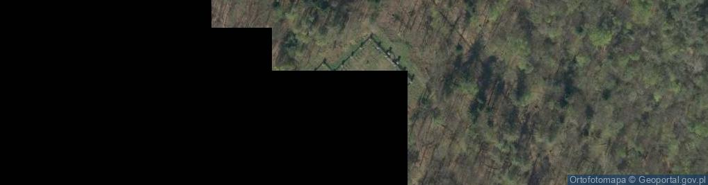 Zdjęcie satelitarne nr 46, Konieczna-Beskidek