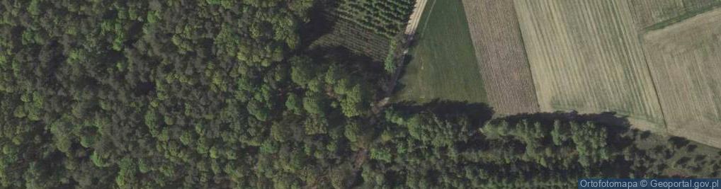 Zdjęcie satelitarne Wierzchowiska