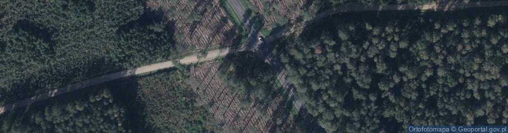 Zdjęcie satelitarne 2 kamienie upamiętniające 1 Batalion 35 PP. AK