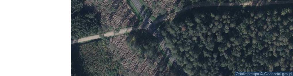 Zdjęcie satelitarne 2 kamienie upamiętniające 1 Batalion 35 PP. AK