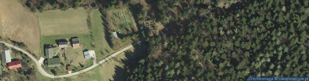 Zdjęcie satelitarne Cmentarz poległych partyzantów oddziału REGINA II 16 Pułku AK