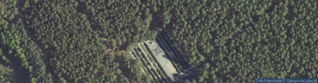 Zdjęcie satelitarne Cmentarz Stalagu III C Drzewice-Kostrzyn nad Odrą