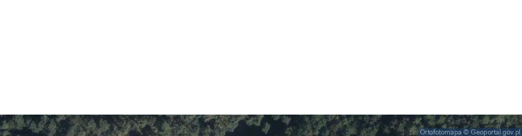 Zdjęcie satelitarne Miejsce straceń Patelnia