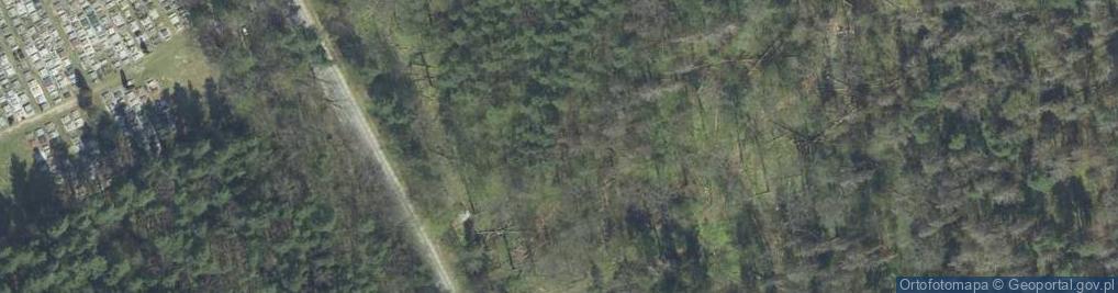 Zdjęcie satelitarne Miejsce straceń