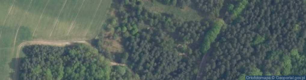 Zdjęcie satelitarne Mogiła Romów