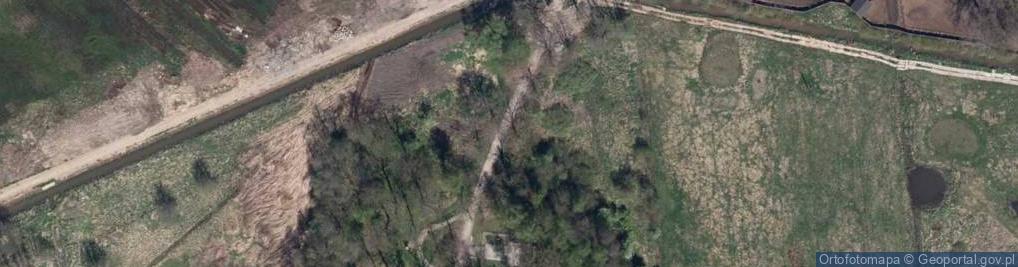 Zdjęcie satelitarne Pod Trzema Dębami