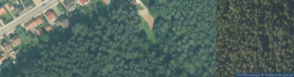 Zdjęcie satelitarne Cmentarz epidemiczny