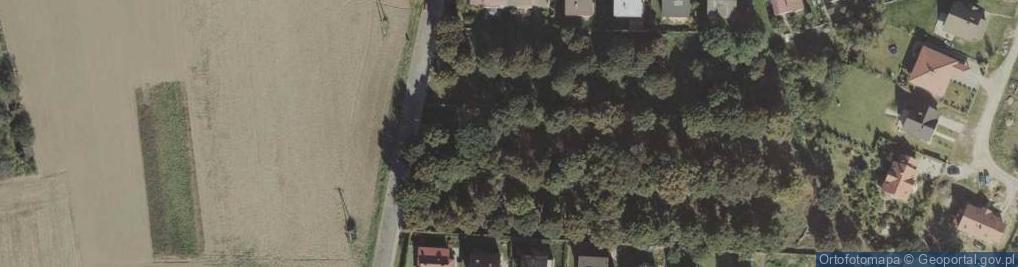 Zdjęcie satelitarne Cmentarz Ew.-Reform.