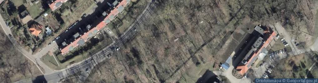 Zdjęcie satelitarne Cmentarz Golęcino - nieczynny