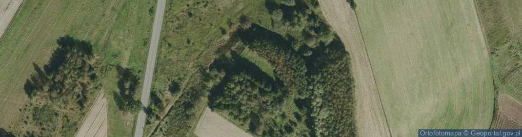 Zdjęcie satelitarne Cmentarz historyczny choleryczny