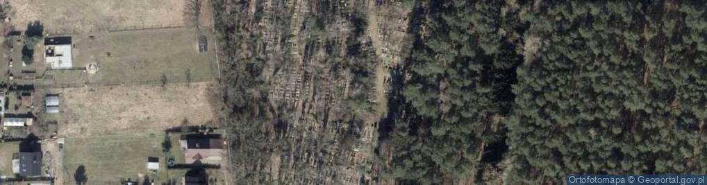 Zdjęcie satelitarne Cmentarz Płonia