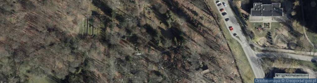 Zdjęcie satelitarne Cmentarz Świętokrzyski