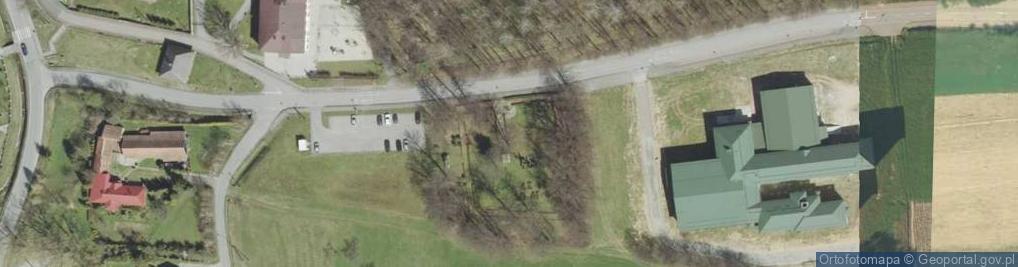 Zdjęcie satelitarne Cmentarz zmarłych na cholerę w Nawojowej