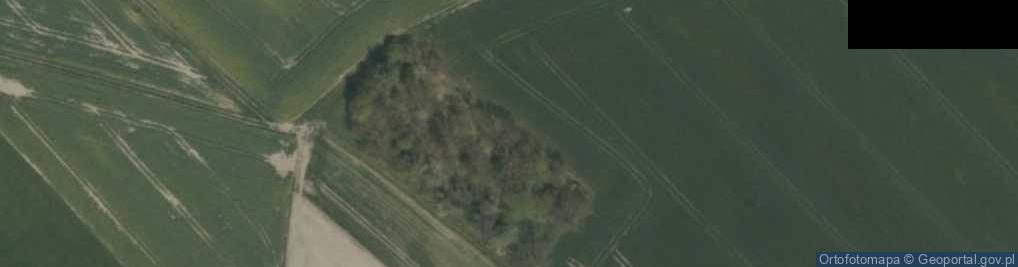 Zdjęcie satelitarne Cmentarz żydowski w Wielowsi