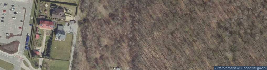 Zdjęcie satelitarne Cmentarzyk
