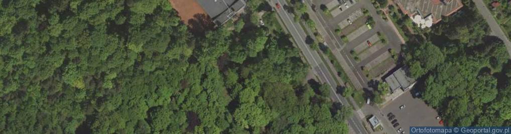 Zdjęcie satelitarne Główny Cmentarz Komunalny nr. 1