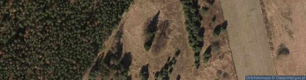 Zdjęcie satelitarne Historyczny cmentarz ewangelicki