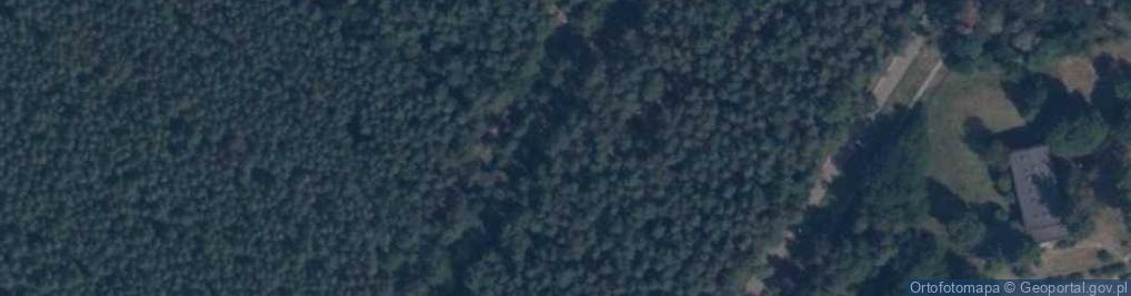 Zdjęcie satelitarne Przyszpitalny